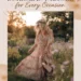 Image for: 12 Best Bohemian Dresses for Every Occasion