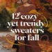 12 Cozy Yet Trendy Sweaters for Fall 23 Image for: 12 Cozy Yet Trendy Sweaters for Fall